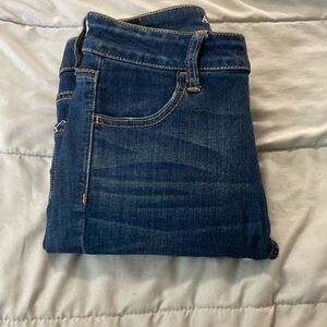 American Eagle Outfitters Indigo Denim Pants